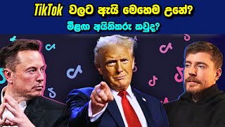 TikTok පාවිච්චි කරාට මේ ගැන දැනන් හිටියද? | TikTok වල අනාගතය...