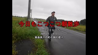 雨です！「今日もコツコツ朝散歩。」【えびてつチャンネル】