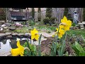 A Gorgeous Spring Day | My Gardening Routine