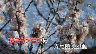 梅花三弄之紅塵故事 | 王傑 | 粵語 | 高清 | 伴唱版本 | 卡拉OK | KARAOKE | KTV