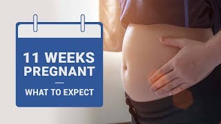 11 Weeks Pregnant   What to Expect