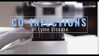 Co-Infections of Lyme Disease