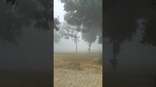 കോച്ചിപ്പിടിക്കുന്ന തണുപ്പ്🥶❄#trending#trendingshorts#shortvideo#shorts#youtubeshorts#short#ytshorts