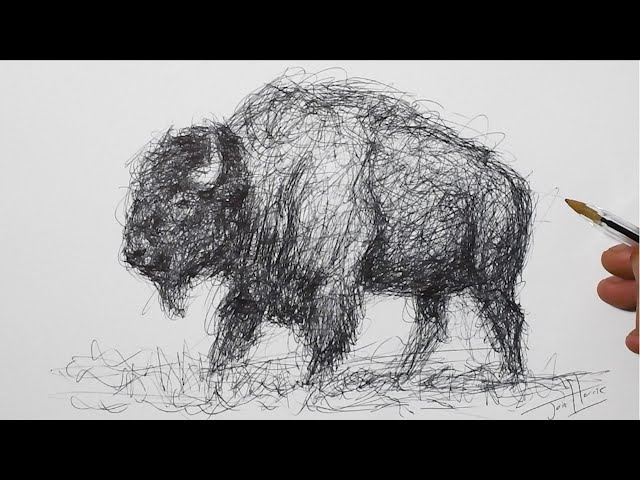 How To Draw A Bison Awesome Pen Ink Drawing Videos For Kids