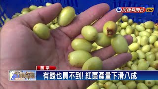 氣候影響紅棗減產 農民欲哭無淚－民視新聞