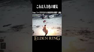 入力回避を許すな　#エルデンリング #eldenring