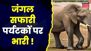 Haridwar : हाथी ने पर्यटकों को दौड़ा दिया, काफी देर तक गाड़ी का पीछा किया | Top News | Hindi News