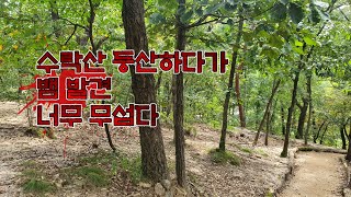 등산하다가 뱀발견 심장두근 극한훈련/I found a snake while hiking, my heart beats