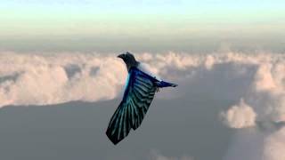 Crow obj sequence test