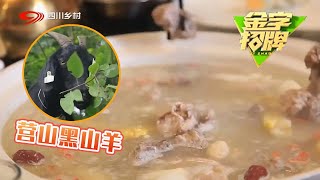 探秘大名鼎鼎的营山黑山羊，比普通羊肉好吃太多，吸引老饕无数【金字招牌】