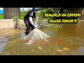 SUNGAI DALAM HUTAN TAK TERJAMAH ISINYA MONSTER SEMUA||JALA IKAN /Cast net