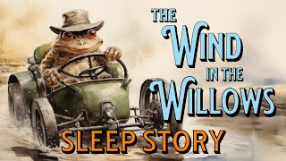 Wind in the Willows Full Audiobook Dark Screen Relaxing Calm Reading Sleep Bedtime Story for Adults
