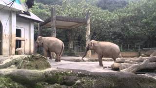 錡\u0026荳  寒假動物園104.2.11(2)