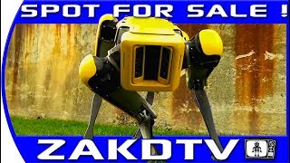 Boston Dynamics SpotMini FOR SALE! Full commercial production in 2019