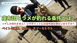 座布団ヒラメが釣れる条件とは！ソゲしか釣れません！ソゲポイントには座布団は居ないのですか？・釣り部屋からの雑談・四方山話２８１