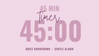 đ 45 Minute Quiet Countdown Timer â Gentle Alarm â° Aesthetic Pastel Pink