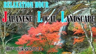 【高知の風景　自然・BGM】 最新紅葉情報2021　瀬戸川渓谷　Japanese Local Landscape ＃072