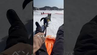 ベンとソリ遊び🛷 #黒ラブ #blacklabradorretriever #エンゼルフォレスト那須白河