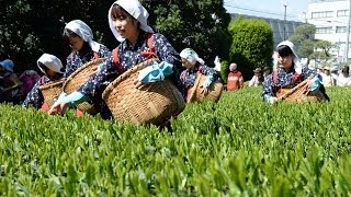 狭山茶の産地で「八十八夜新茶まつり」