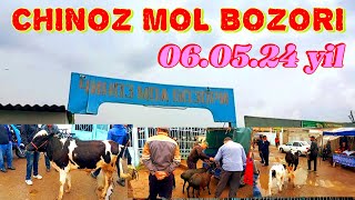 CHINOZ MOL BOZORIDA BUGUNGI NARXLAR 🦬🐂🐃🐄🐑🐏