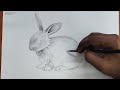 How to draw a rabbit ( bunny )  pencil drawing  step by step  black and white