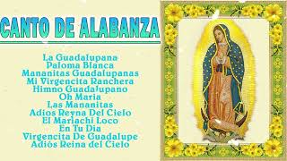 Los Berrenditos Cantos y Alabanzas a la Virgen de Guadalupe🙏Cántos a la virgen de Guadalupe