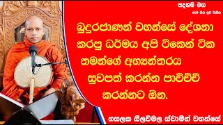 ධර්මය තමන්ගේ අභ්‍යන්තරය සුවපත් කරන්න පාවිච්චි කරන්නට ඕන.736Ven Hasalaka Seelawimala Thero