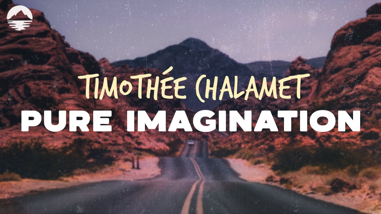 Pure Imagination From Wonka Timothée Chalamet Song Lyrics Music