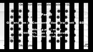 High-throughput Drug Screening Microfluidic Device