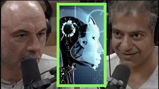 CEO Naval Ravikat Says AI Fears Are Overblown | Joe Rogan