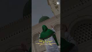 New Rabi ul Awal Naat 2023 - Ya Nabi ﷺ Nazre Karam Farmana - Aye Hasnain Ke Nana - Hafiz Tahir Qadri