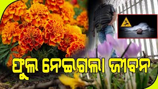 ଶିକ୍ଷକଙ୍କର ମୂର୍ଖାମୀ ଯୋଗୁଁ ଜଣେ ନିରୀହଙ୍କର ଜୀବନ ଗଲା