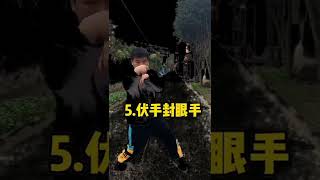 咏春拳十二散手