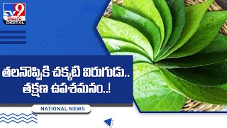 తలనొప్పికి చక్కటి విరుగుడు.. తక్షణ ఉపశమనం..! -TV9