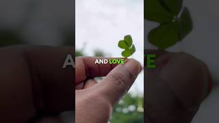 Raise your vibration using the  4,7,8 Technique 🍀 #FourLeafClover #LuckyCharmDon #LawOfAttraction