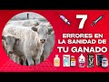 🚨 7 ERRORES EN LA SANIDAD DE TU GANADO 🐂 PONEN EN RIESGO LA SALUD DE TU GANADO 🚨