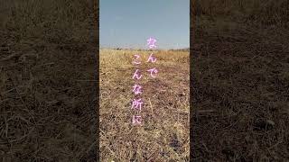 なんでこんな所に・・・ #消火栓