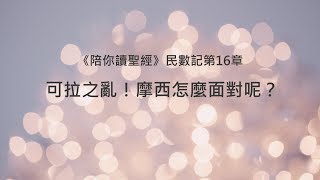 民數記16章/陪你讀聖經《可拉之亂！摩西怎麼面對呢？》