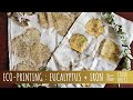 HOW TO ECO-PRINT WITH EUCALYPTUS & IRON MORDANT | ORGANIC COLOR | SILK COTTON | BUNDLE DYE