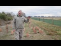 Otukaikino: The restoration of a Christchurch wetland