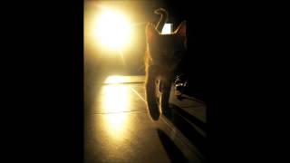 A színházi macska (Macskák musical) - Nagy Zsazsa