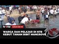 Warga & Pelajar Bergotong Royong Tanam Ribuan Benih Bibit Mangrove | Kabar Hari Ini tvOne