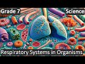 Grade 7 | Science | Respiratory Systems in Organisms | Free Tutorial | CBSE | ICSE | State Board