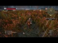 The Witcher 3: Wild Hunt | Water Hag Screams After Decapitation