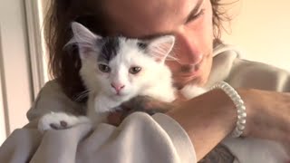 Dog person turns to mush for kitten