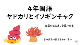 ４年国語ヤドカリとイソギンチャク