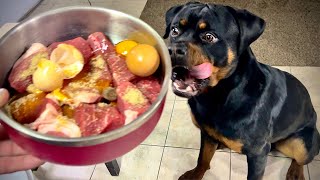 Unbelievable: Rottweiler Puppy Goes RAW – You Won't Believe What Happens Next!
