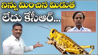 నిన్ను మించిన మిడుత లేదు కేసీఆర్...|| QNewsHD || QMusichd