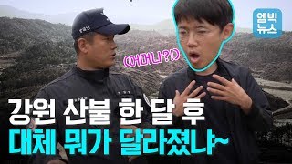 [로드맨19화] 언론 관심 끝난 강원 산불, 충격적인 근황