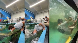 Guy gets Knocked Out by Arapaima Fish and falls inside the Fishtank • UNSEEN PORTION OF INTERNET